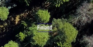 Finnish forest from above
