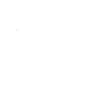 Raamattuopisto valkoinen logo